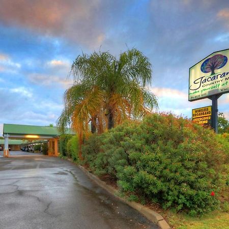 Jacaranda Country Motel Saint George Exteriör bild