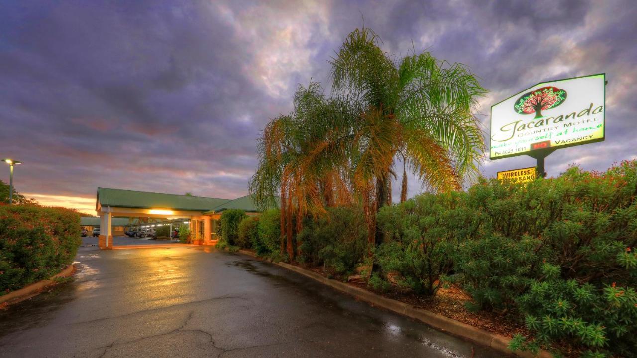 Jacaranda Country Motel Saint George Exteriör bild